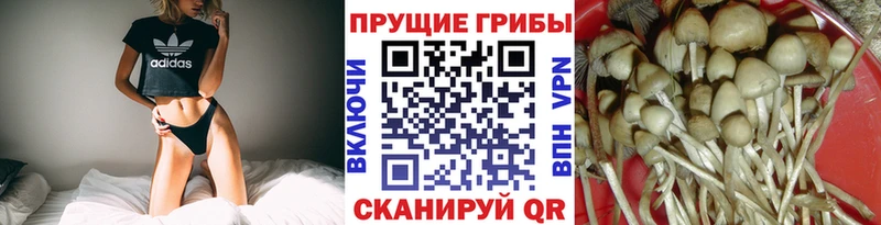 Галлюциногенные грибы ЛСД  Вилюйск 